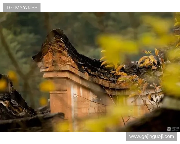 光影织梦,岁月留痕:一场关于“光影电视剧”的沉醉之旅 光影织梦,岁月留痕:一场关于“光影电视剧”的沉醉之旅